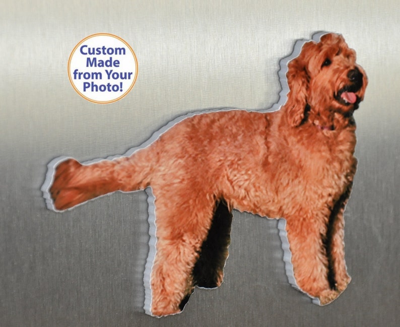 May include: A custom-made magnet featuring a brown and white dog with a white outline. The magnet is made from a photo and says "Custom Made from Your Photo!"