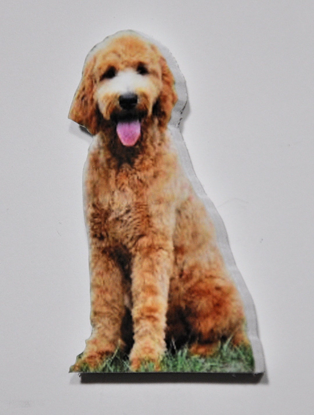Custom Pet Photo Fridge Magnets: Personalized Dog or Cat Cutout (set of ...