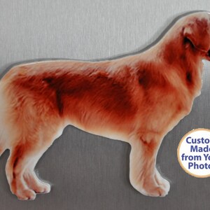 May include: A custom-made golden retriever dog magnet, made from a photo. The magnet is on a silver background. The text "Custom Made from Your Photo!" is on a white circle with a gold border.