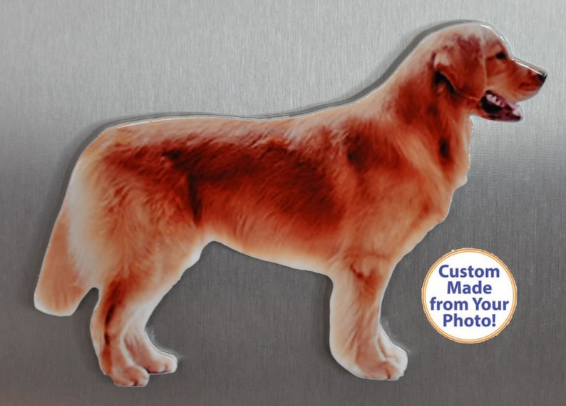 May include: A custom-made golden retriever dog magnet, made from a photo. The magnet is on a silver background. The text "Custom Made from Your Photo!" is on a white circle with a gold border.
