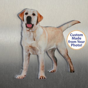 May include: A custom-made magnet featuring a photo of a yellow Labrador Retriever. The magnet is shaped like the dog and has a white border. The text "Custom Made from Your Photo!" is printed on a yellow circle in the lower right corner of the image.