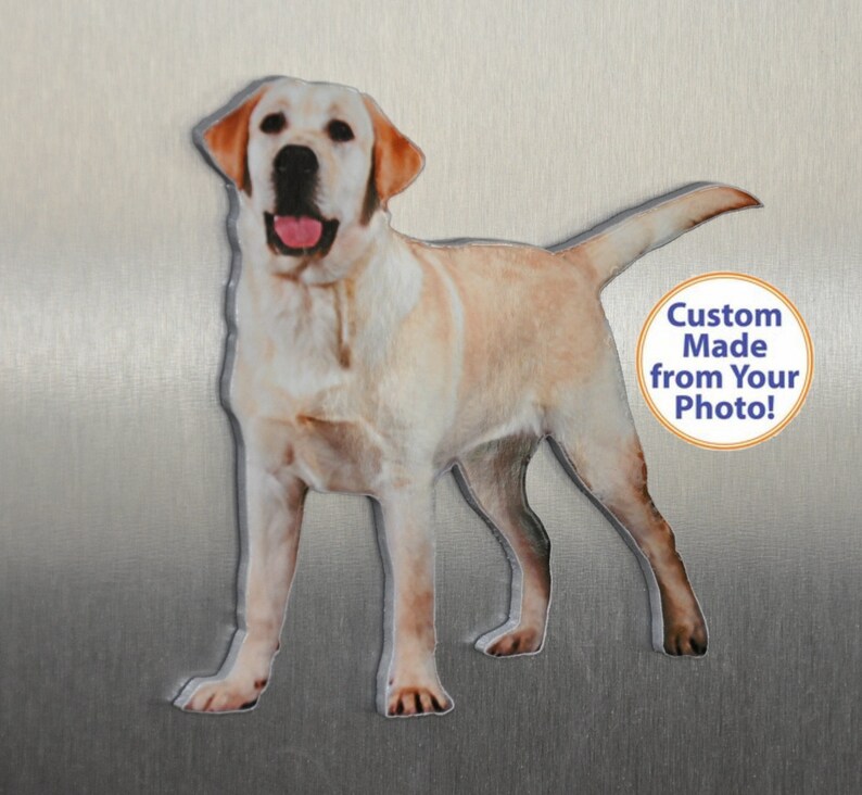 May include: A custom-made magnet featuring a photo of a yellow Labrador Retriever. The magnet is shaped like the dog and has a white border. The text "Custom Made from Your Photo!" is printed on a yellow circle in the lower right corner of the image.