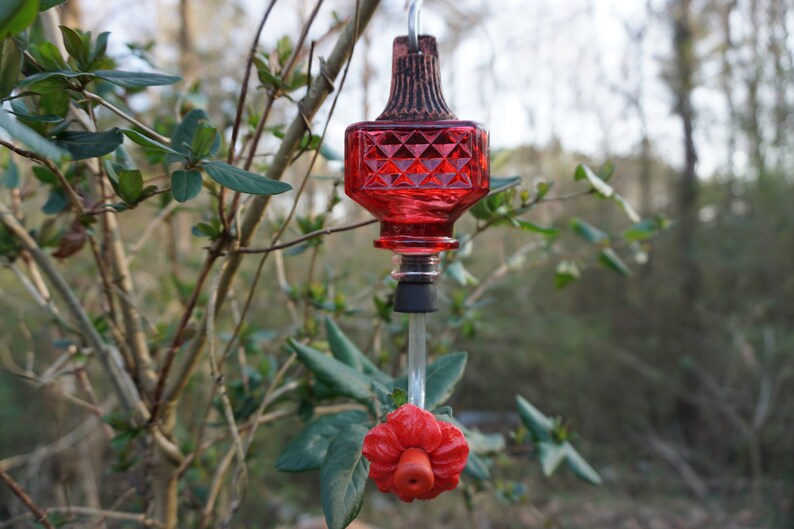 Small Glass Hummingbird Feeder Etsy