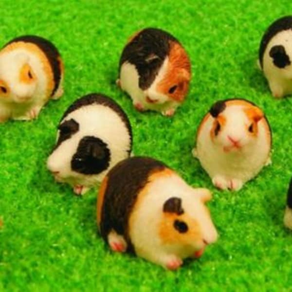 Set Of 3 Miniature Guinea Pigs Super Cute And Lovely