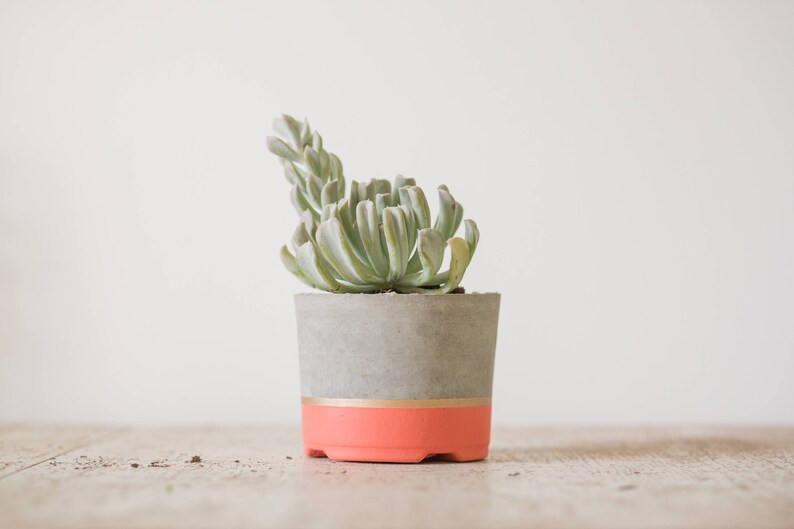 Coral /& Gold Large Concrete Planter