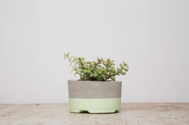 Medium Concrete Planter Seaside Green