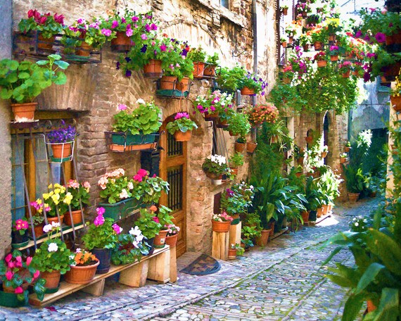 Italia Spello Italia Umbria Italia Spello Photo Italia Etsy