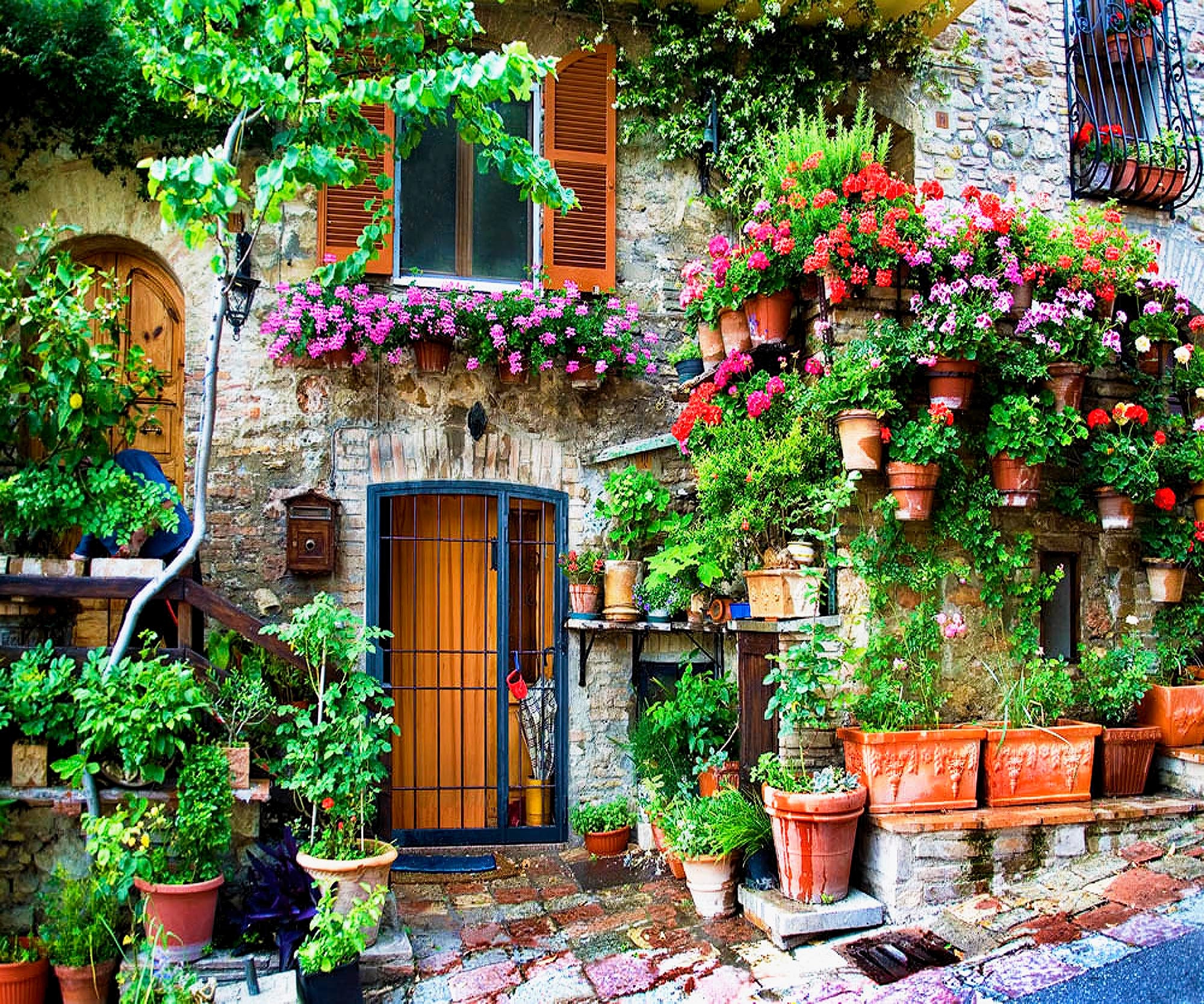 Flower Covered House Assisi Italy Photo Flower Pots Umbria
