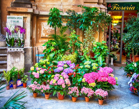 energie Robijn wijn Palermo Sicily Flower Shop Vivid Colors Fioreria Shop | Etsy Hong Kong
