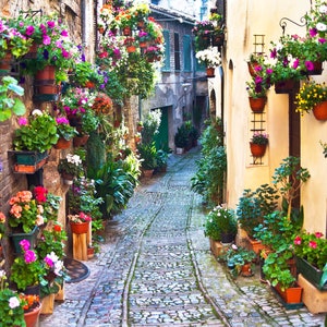 Italy, Spello Italy, Umbria Italy, Spello Photo, Italy Wall Art, Italy Decor, Colorful Flowers, Winding Stone Alley, Italy Travel