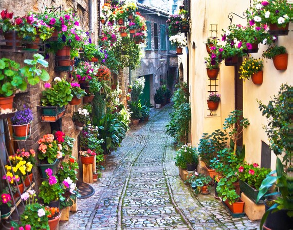 Italy Spello Italy Umbria Italy Spello Photo Italy Wall Art Italy Decor Colorful Flowers Winding Stone Alley Italy Travel