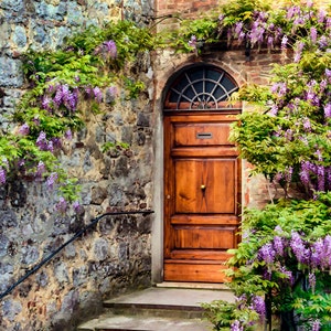 Old Wooden Door, Montepulciano Italy, Old Door Print, Wisteria Door, Wooden Door, Wall Art, Rustic Door, Fine Art Photograph, Painterly Look