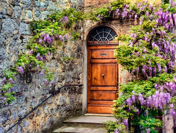 Old Wooden Door, Montepulciano Italy, Old Door Print, Wisteria Door, Wooden  Door, Wall Art, Rustic Door, Fine Art Photograph, Painterly Look - Etsy