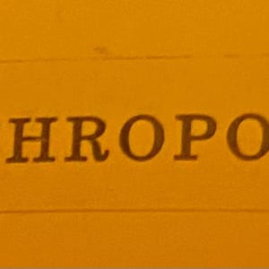 May include: The image displays the text "by ANTHROPOLOGIE" in a dark brown font, set against a solid orange background. The text is enclosed within a rectangular frame, suggesting a label or branding element.