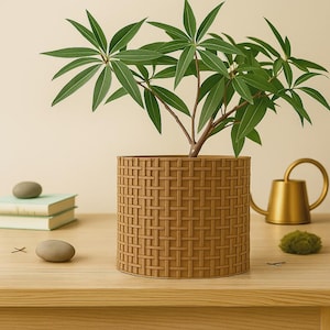 3D Printed Planter | Modern Geometric Plant Pot | Succulent or Cactus Planter with Drainage | Minimalist Home Decor