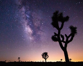 Southwest Photography Print | Joshua Tree National Park | Milky Way Astrophotography | Desert Photography | California Wall Art