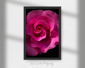 Pink Rose Print | Wildflower Print | Macro Photography | Flower Photography | Floral Home Decor | Pink Flower Wall Art