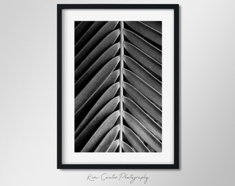 Black and White Leaf Photography Print | Macro Photography | Botanical Plant Leaf | Modern Leaf Abstract | Palm Leaf Print | Abstract Nature