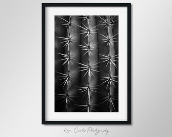 Black and White Cactus Photography Print | Abstract Photography | Macro Photography | Succulent Print | Abstract Nature Art Print