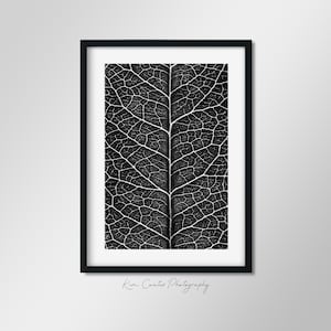 Black and White Leaf Photography | Macro Photography Print | Modern Leaf Abstract | Up Close Leaf Photography | Leaf Veins | Abstract Nature
