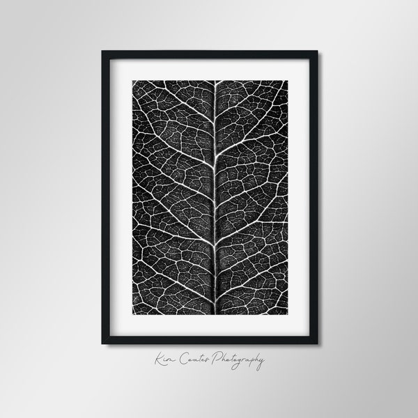 Black and White Leaf Photography | Macro Photography Print | Modern Leaf Abstract | Up Close Leaf Photography | Leaf Veins | Abstract Nature