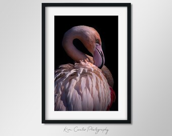 Flamingo Print | Pink Flamingo Wall Art | Bird Photography | Wildlife Print | Nature Photography | Abstract Animal Portrait