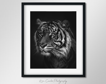 Black and White Wildlife Photography Print | Endangered Tiger | Animal Portrait | Safari Animal Print | Animal Photography