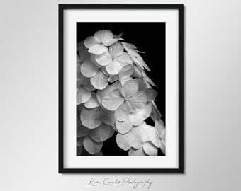 Black and White Flower Photography Print | Botanical Photo | Macro Flower Art | Macro Photography | Modern Photo Print | Abstract Nature