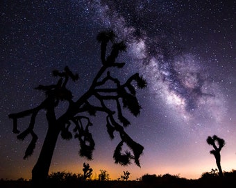 Joshua Tree National Park Print | Southwest Decor | Milky Way | Starry Sky | Desert Photography | Night Sky Print | Astronomy Print