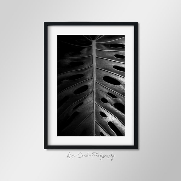 Black and White Monstera Leaf Photography Print | Macro Photography | Plant Art | Abstract Wall Art | Modern Photo Art | Monstera Deliciosa