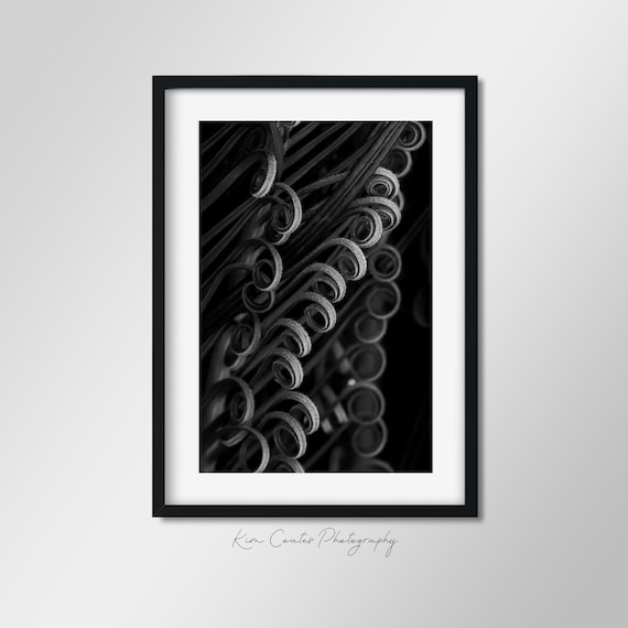 Schwarz-Wei Abstrakte Farn Fotografie Druck | Makrofotografie | Modernes  Blatt Abstrakt | Botanische Blattkunst | Farn Druck - Etsy.de