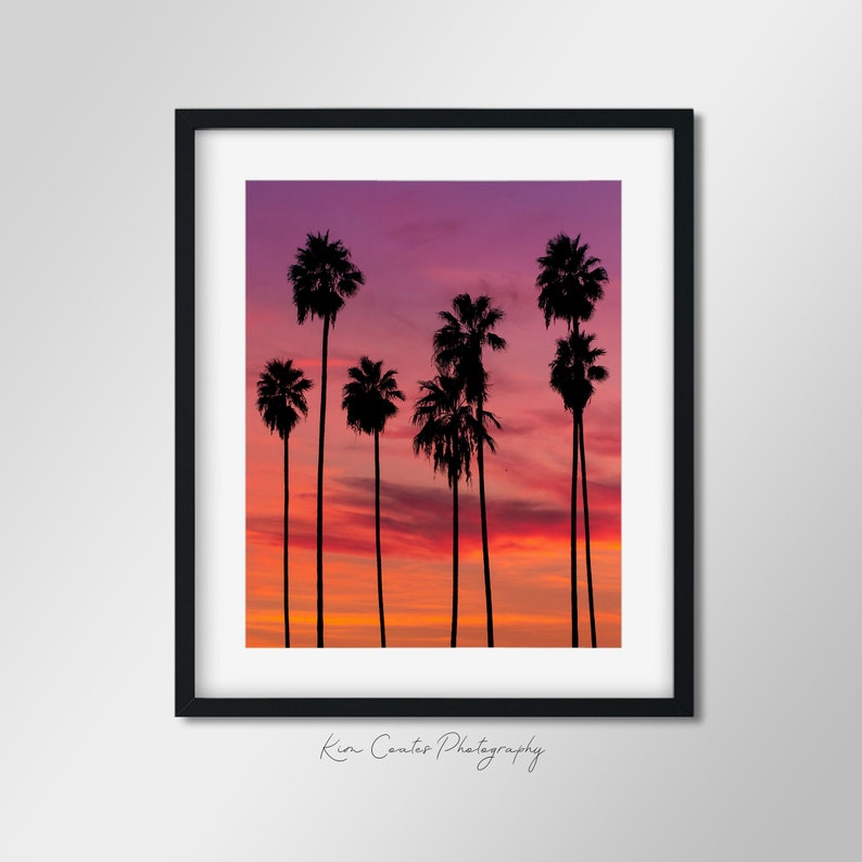May include: Silhouettes of palm trees against a vibrant sunset sky with shades of pink, orange, and red. The sky is cloudy with a soft glow. The image is framed in a black frame with the text "Kin Coates Photography" at the bottom.