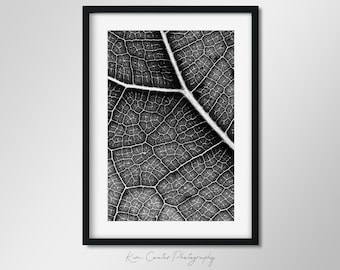 Black and White Leaf Print | Macro Photography | Modern Leaf Abstract | Nature Photography | Up Close Leaf Photography | Leaf Veins