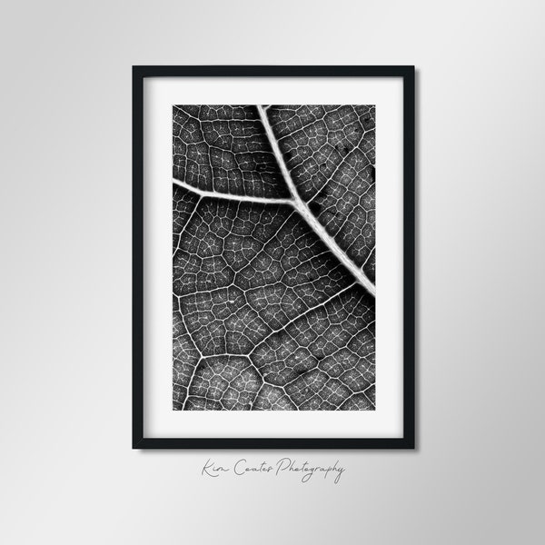 Black and White Leaf Print | Macro Photography | Modern Leaf Abstract | Nature Photography | Up Close Leaf Photography | Leaf Veins