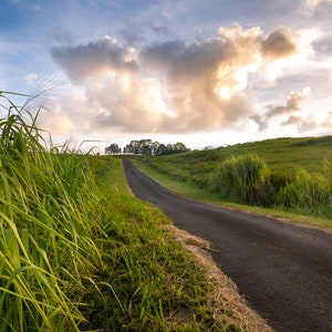 Open Road Photography Print | Travel Photography Decor | Modern Photo Print | Landscape Print | Open Road Trip | Adventure Art Print