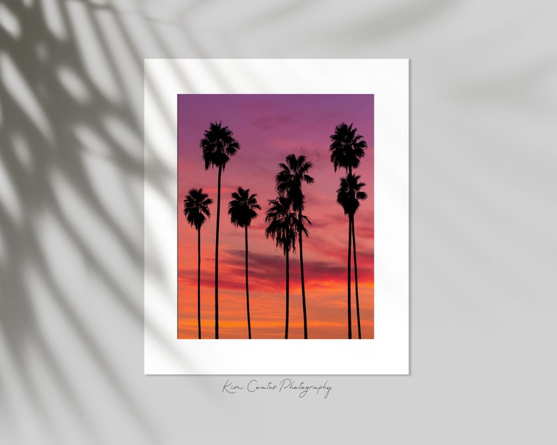 Palm Tree Print | Calming Wall Art | Surf Decor | California Wall Art | Ocean Sunset | Abstract Landscape Photography | Tropical Poster image 3