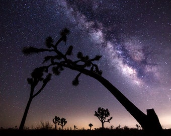 Joshua Tree National Park Print | Night Sky Wall Art | Milky Way Astrophotography | Southwest Decor | Desert Photography | Galaxy Print