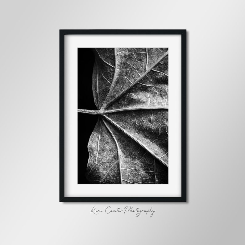 black and white leaf wall art