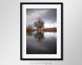 Minimalist Landscape Photography Print | Sierra Nevada Mountains | Calming Wall Art | Water Reflection | Abstract Tree Art | Lake House