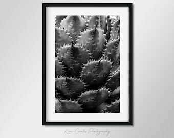 Kaktus Fotografie | Frau Portrait Fine Art | Kakteen pflanzen | Sdwestern  Dekor | Hochwertiger Druck - Etsy Schweiz
