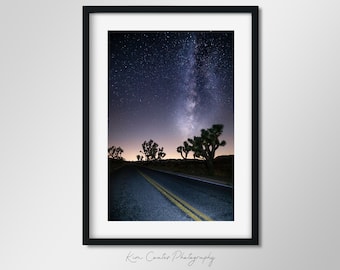 May include: A long, dark asphalt road with yellow lines stretches into the distance under a night sky filled with stars and the Milky Way.  The road is lined with Joshua trees on either side.
