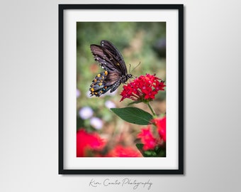 Butterfly Photography Print | Macro Photography | Bug Print | Wildlife Photography | Beautiful Butterfly | Green Red | Botanical Wall Art