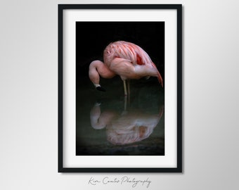 Flamingo Print | Bird Photography | Wildlife Print | Nature Photography | Abstract Animal Portrait | Pink Flamingo Wall Art | Water Bird