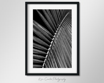 Black and White Leaf Photography Print | Abstract Leaf Print | Palm Leaf | Macro Photography | Botanical Plant Leaf | Modern Leaf Abstract