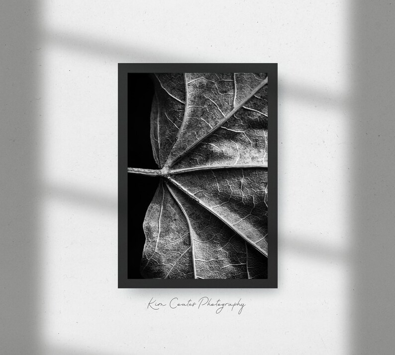 black and white leaf wall art