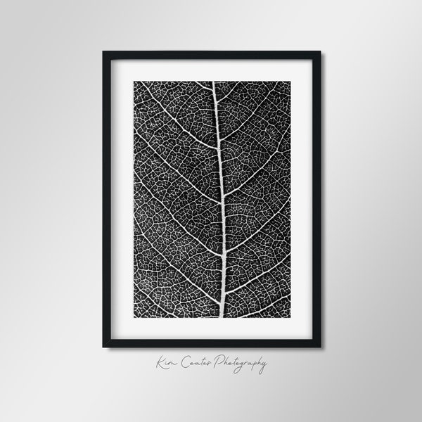 Black and White Leaf Photography Print | Abstract Macro Photography | Modern Leaf Abstract | Up Close Leaf | Leaf Veins | Abstract Nature