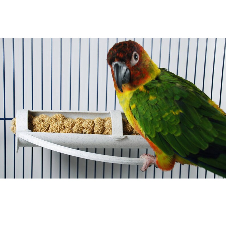 Feathersmart Horizontal Millet Holder Etsy