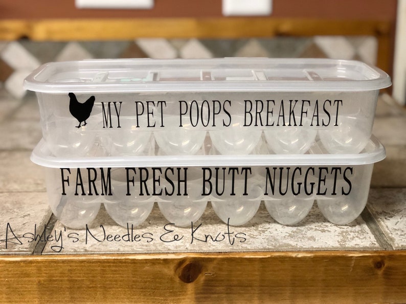 Egg Container Storage Organization En Coop Eggs Reusable Plastic