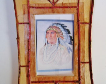 Wonderful Birch Bark and Red Dogwood Frame