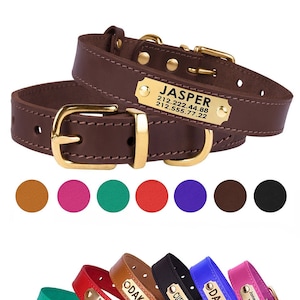 dog collars for dogs